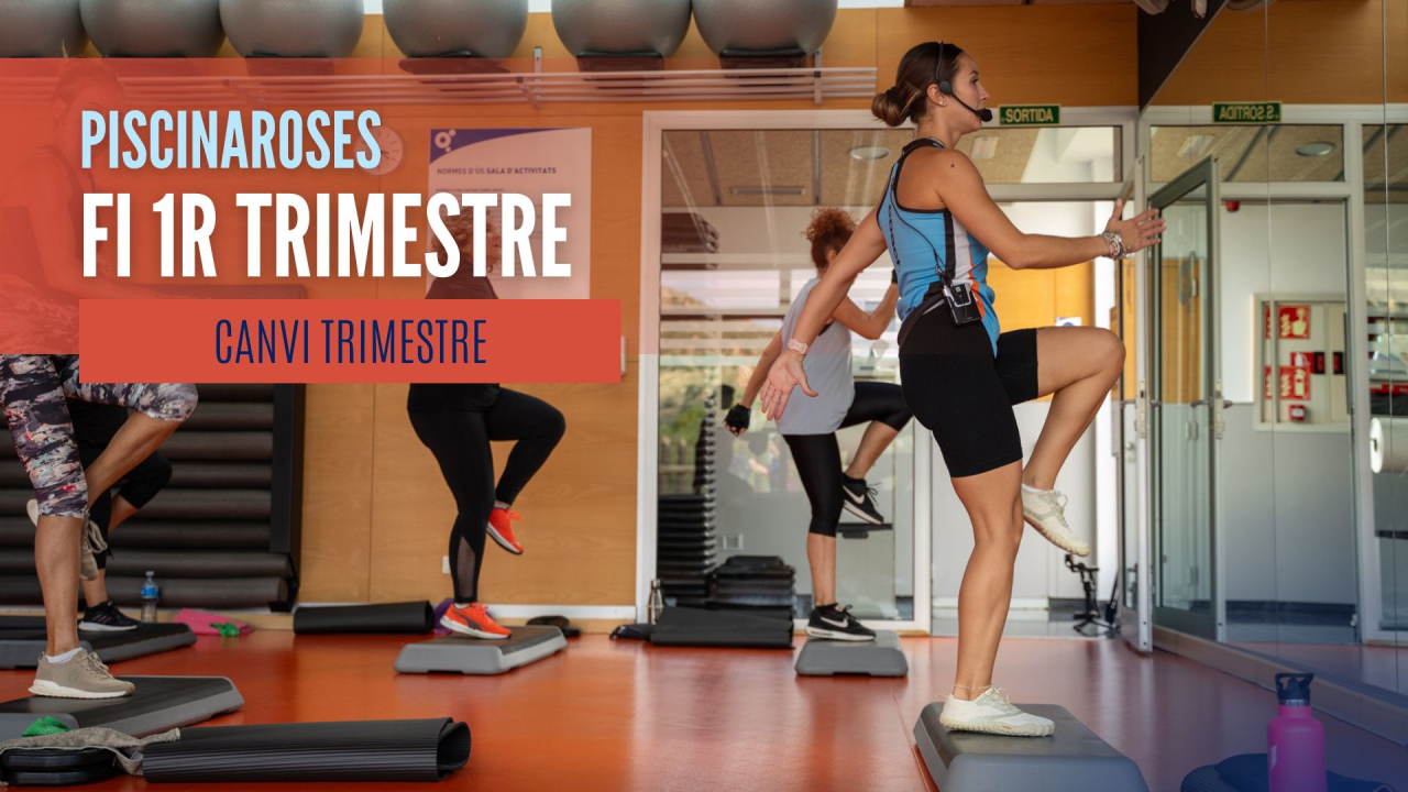 Del 1º al 2º trimestre de actividades