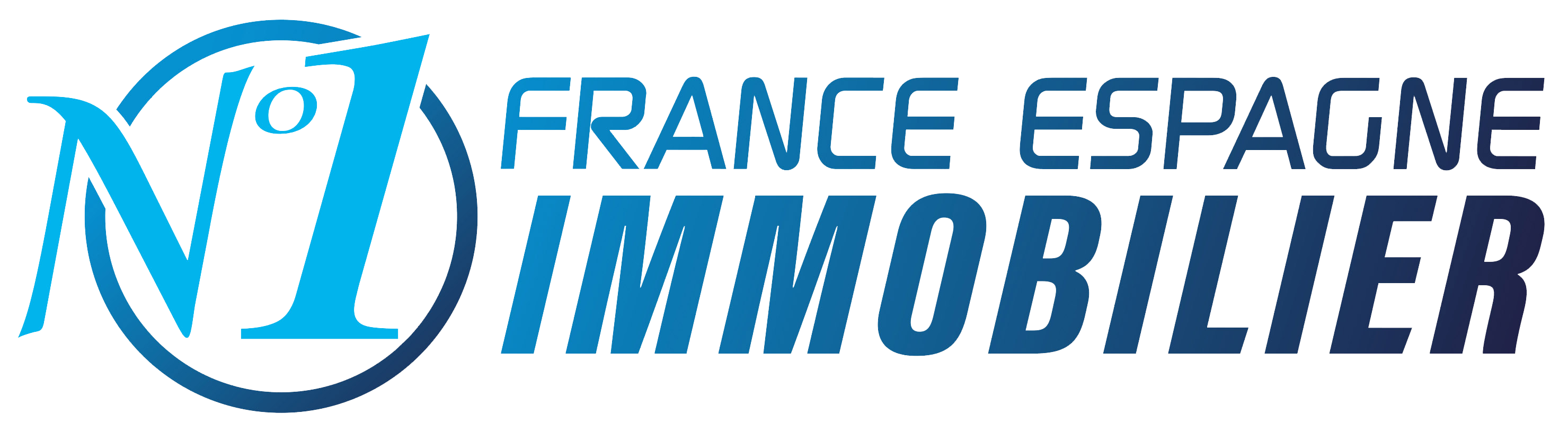 N1 FRANCE ESPAGNE IMMOBILIER